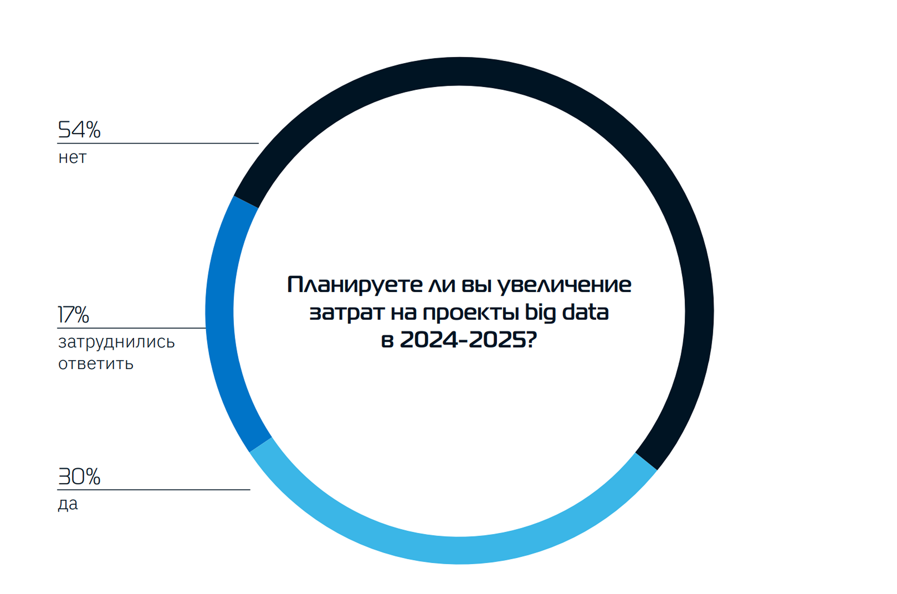 Планируете ли вы увеличение затрат на проекты big data в 2024-2025?